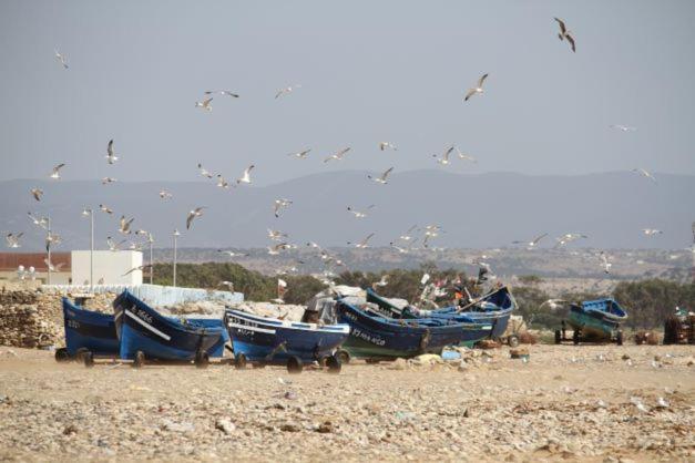 Surf Housemaroc Pansiyon Suvayr Dış mekan fotoğraf